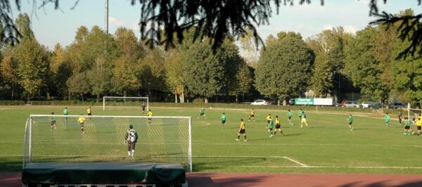 Campo calcio in erba