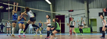 Palestra volley